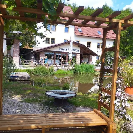 Inn Javorsky Mlyn *